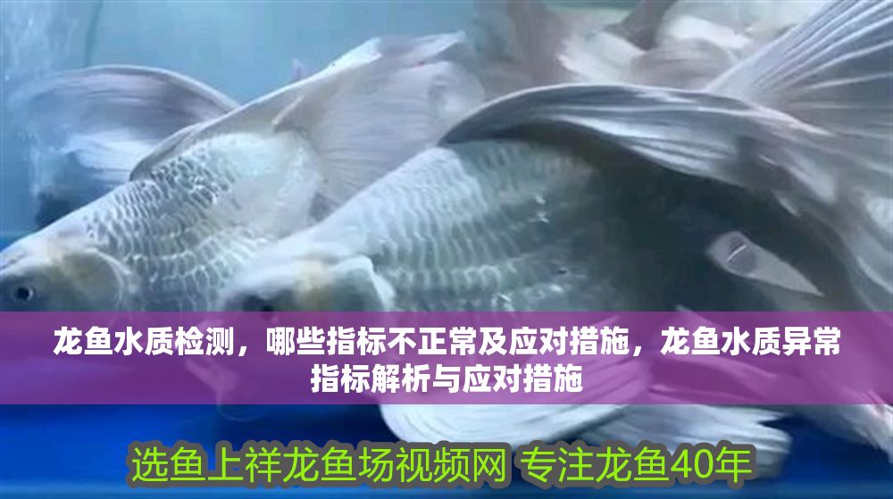 龍魚水質檢測，哪些指標不正常及應對措施，龍魚水質異常指標解析與應對措施 龍魚水質檢測，哪些指標不正常及應對措施，龍魚水質異常指標解析與應對措施 龍魚百科 第1張