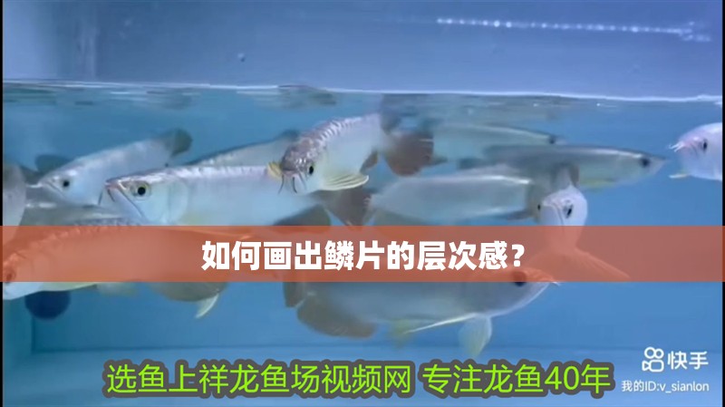 如何畫出鱗片的層次感？