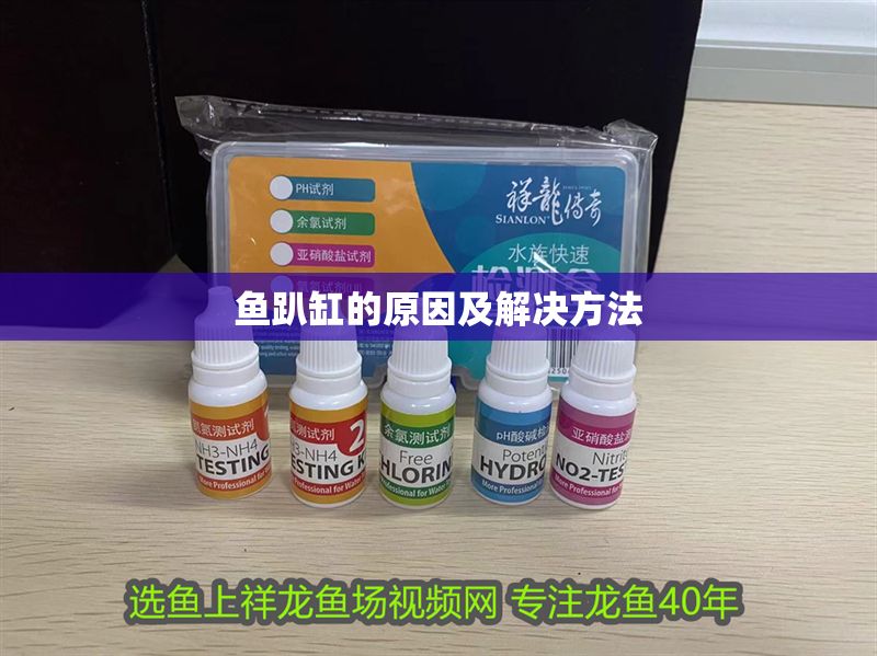 魚趴缸的原因及解決方法