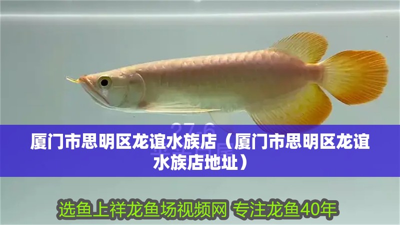 廈門市思明區龍誼水族店（廈門市思明區龍誼水族店地址）