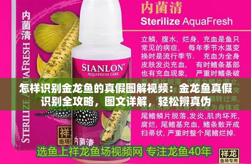怎樣識別金龍魚的真假圖解視頻：金龍魚真假識別全攻略，圖文詳解，輕松辨真偽