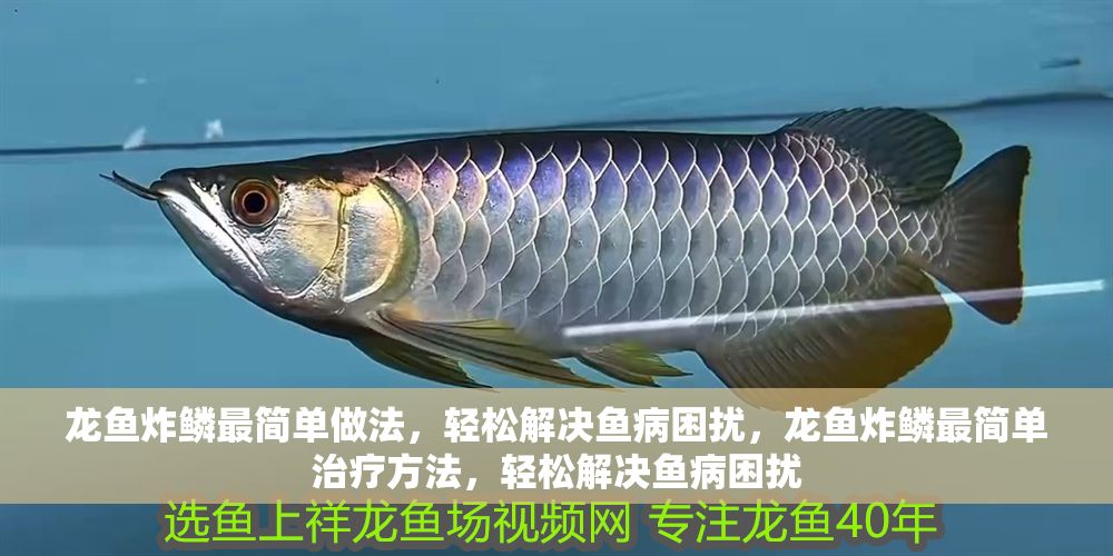龍魚炸鱗最簡單做法，輕松解決魚病困擾，龍魚炸鱗最簡單治療方法，輕松解決魚病困擾