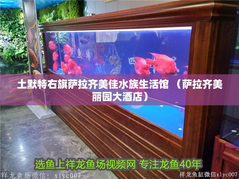 土默特右旗薩拉齊美佳水族生活館 （薩拉齊美麗園大酒店）