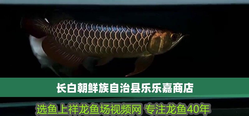 長白朝鮮族自治縣樂樂嘉商店