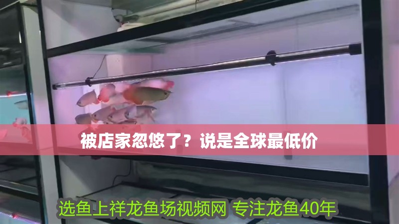 被店家忽悠了？說是全球最低價