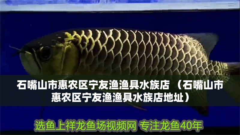 石嘴山市惠農區寧友漁漁具水族店 （石嘴山市惠農區寧友漁漁具水族店地址）