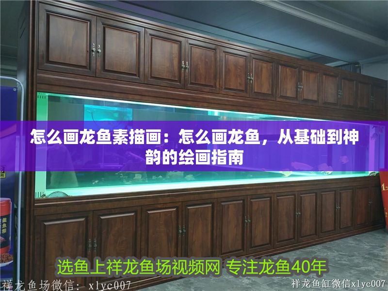 怎么畫龍魚素描畫：怎么畫龍魚，從基礎到神韻的繪畫指南