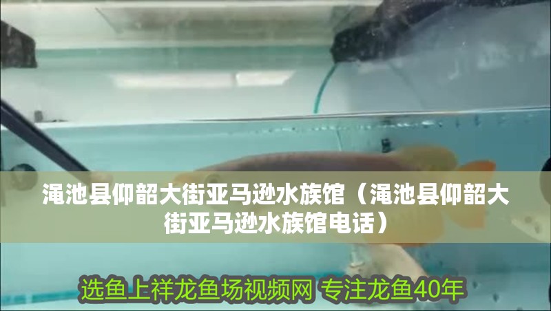 澠池縣仰韶大街亞馬遜水族館（澠池縣仰韶大街亞馬遜水族館電話）