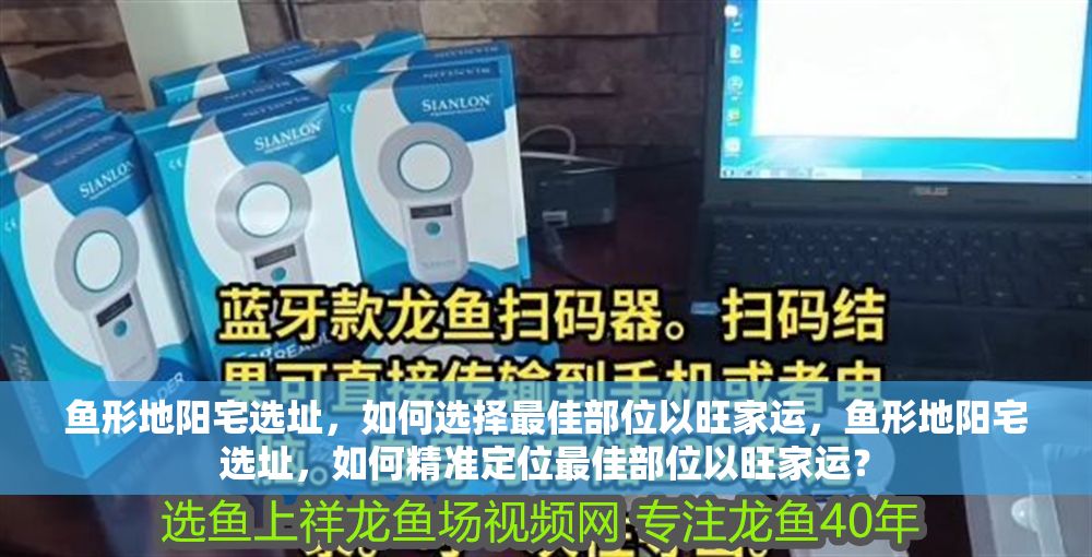 魚形地陽宅選址，如何選擇最佳部位以旺家運，魚形地陽宅選址，如何精準定位最佳部位以旺家運？
