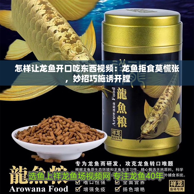 怎樣讓龍魚開口吃東西視頻：龍魚拒食莫慌張，妙招巧施誘開膛