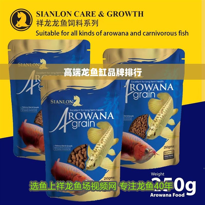 高端龍魚缸品牌排行