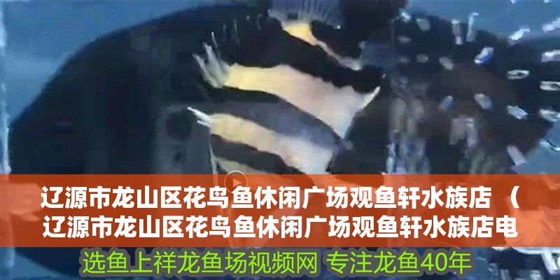 遼源市龍山區(qū)花鳥魚休閑廣場(chǎng)觀魚軒水族店 （遼源市龍山區(qū)花鳥魚休閑廣場(chǎng)觀魚軒水族店電話） 遼源市龍山區(qū)花鳥魚休閑廣場(chǎng)觀魚軒水族店 （遼源市龍山區(qū)花鳥魚休閑廣場(chǎng)觀魚軒水族店電話） 全國(guó)水族館企業(yè)名錄