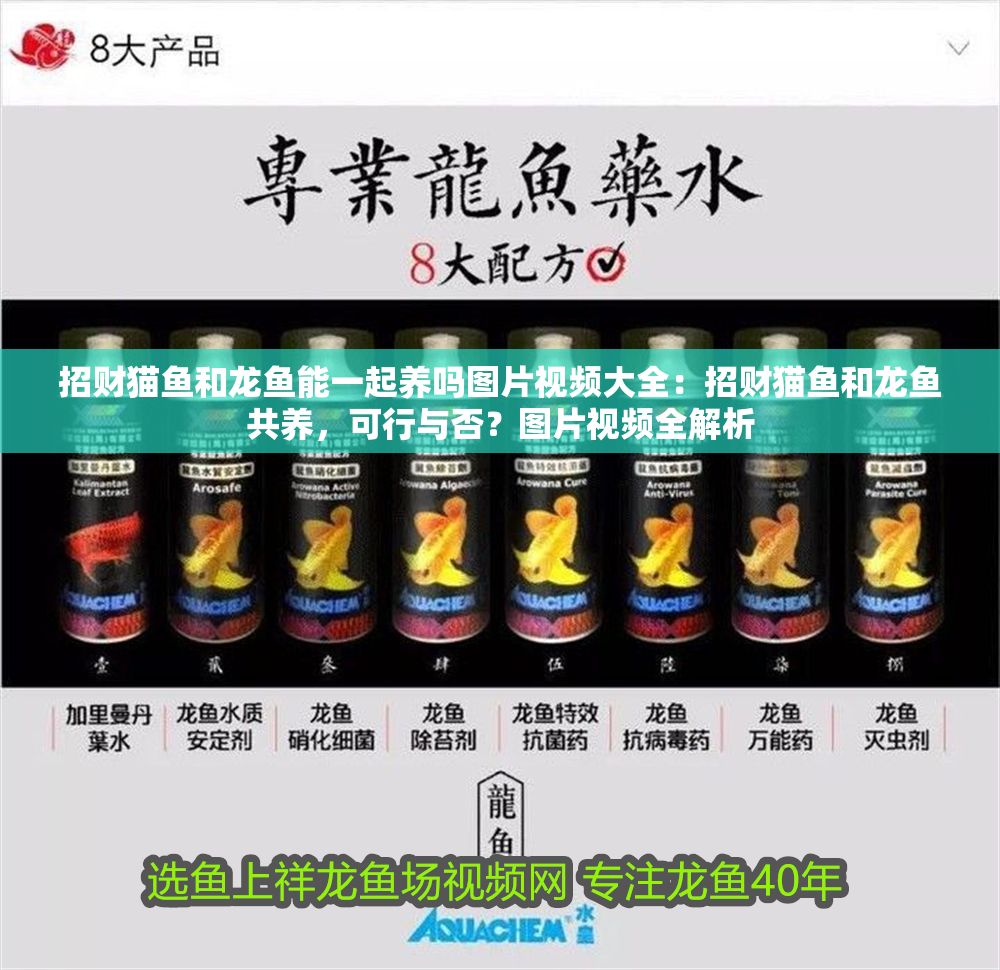 招財貓魚和龍魚能一起養嗎圖片視頻大全：招財貓魚和龍魚共養，可行與否？圖片視頻全解析