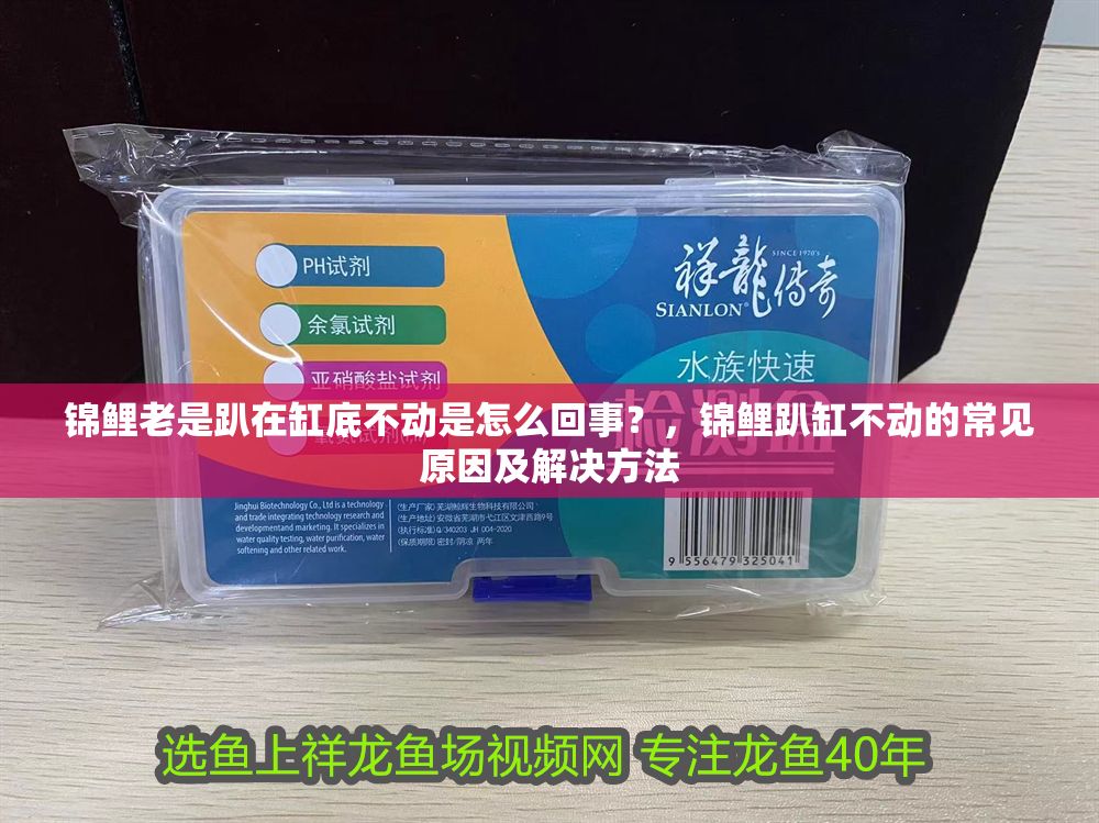 錦鯉老是趴在缸底不動是怎么回事？，錦鯉趴缸不動的常見原因及解決方法