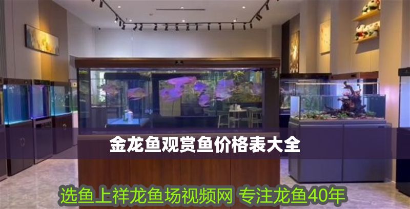金龍魚觀賞魚價(jià)格表大全
