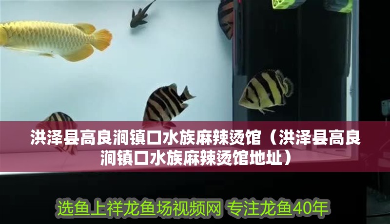 洪澤縣高良澗鎮(zhèn)口水族麻辣燙館（洪澤縣高良澗鎮(zhèn)口水族麻辣燙館地址）