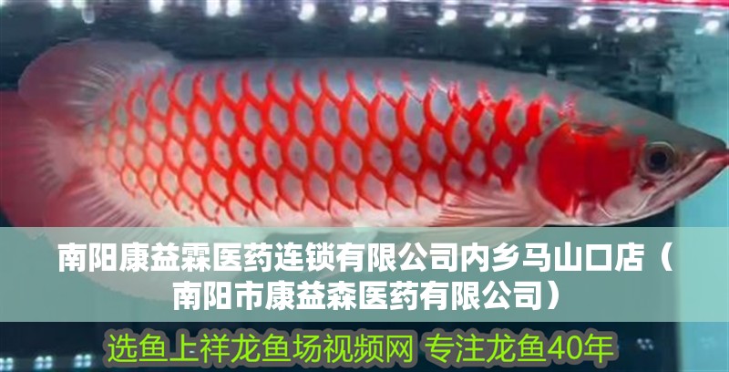 南陽康益霖醫藥連鎖有限公司內鄉馬山口店（南陽市康益森醫藥有限公司）