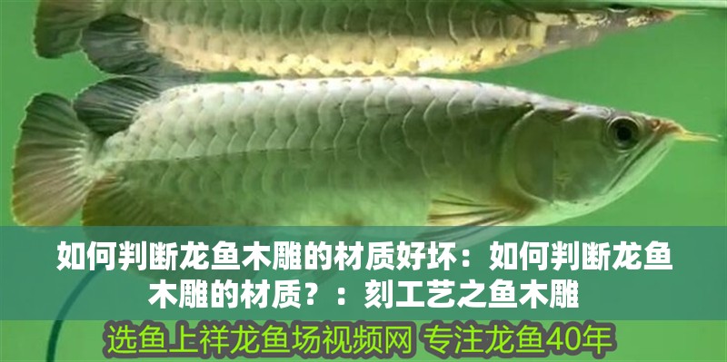 如何判斷龍魚木雕的材質好壞：如何判斷龍魚木雕的材質？：刻工藝之魚木雕