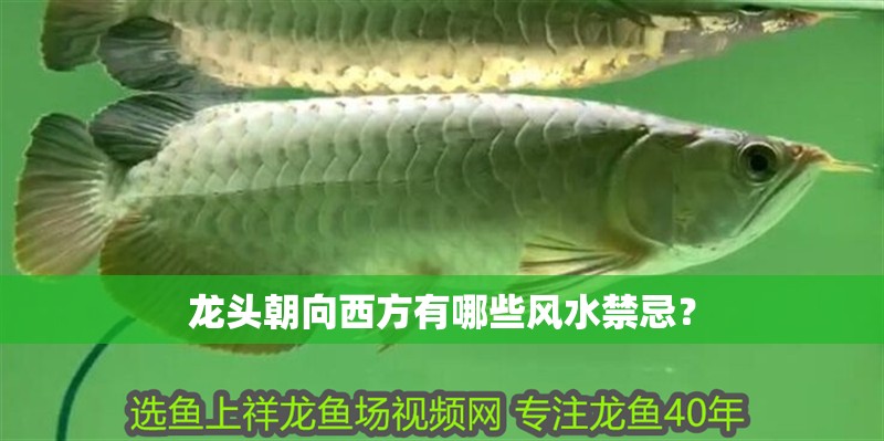 龍頭朝向西方有哪些風(fēng)水禁忌？