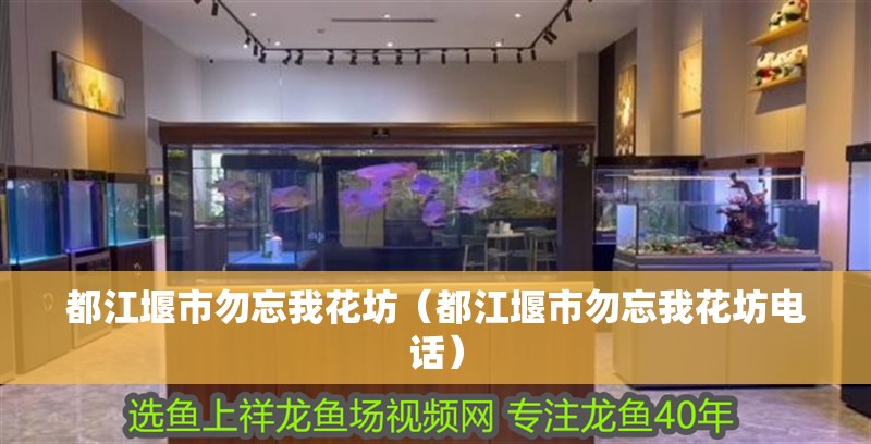 都江堰市勿忘我花坊（都江堰市勿忘我花坊電話） 都江堰市勿忘我花坊（都江堰市勿忘我花坊電話） 全國水族館企業(yè)名錄