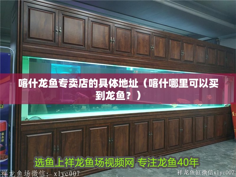 喀什龍魚專賣店的具體地址（喀什哪里可以買到龍魚？）