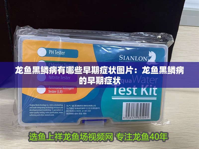 龍魚黑鱗病有哪些早期癥狀圖片：龍魚黑鱗病的早期癥狀