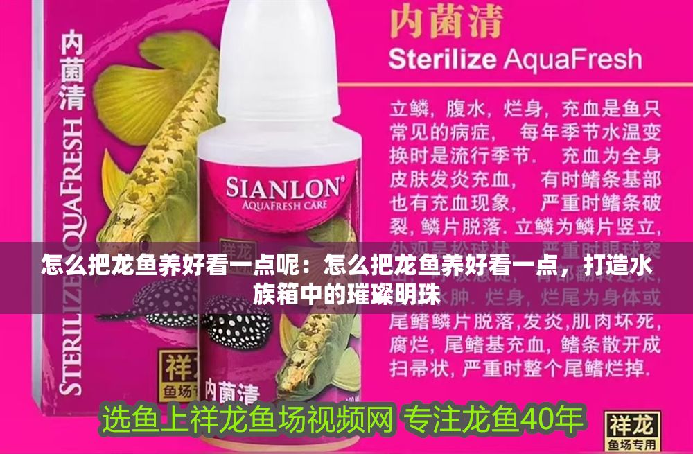 怎么把龍魚養(yǎng)好看一點(diǎn)呢：怎么把龍魚養(yǎng)好看一點(diǎn)，打造水族箱中的璀璨明珠