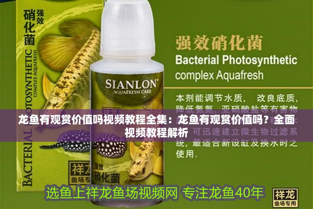 龍魚有觀賞價值嗎視頻教程全集：龍魚有觀賞價值嗎？全面視頻教程解析