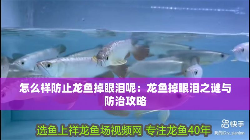 怎么樣防止龍魚掉眼淚呢：龍魚掉眼淚之謎與防治攻略