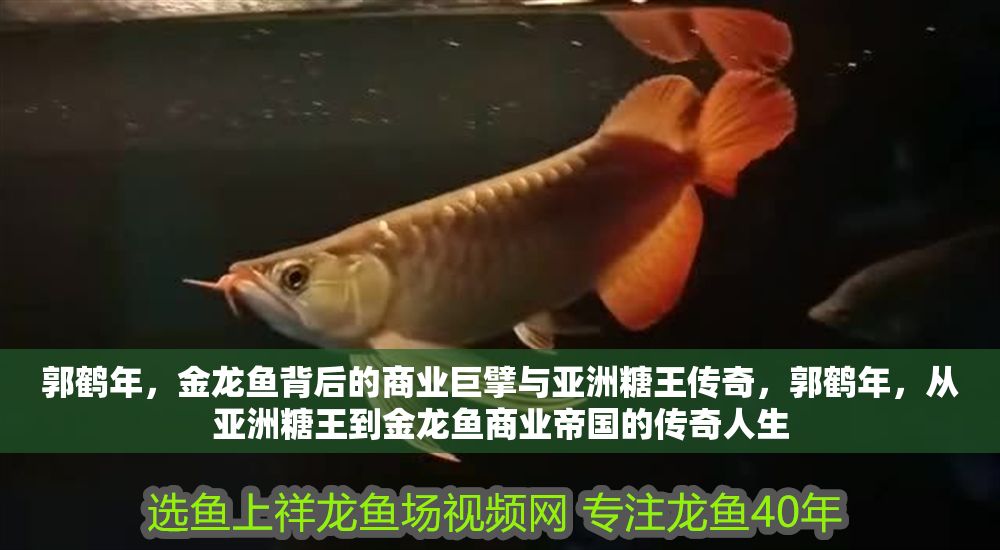 郭鶴年，金龍魚背后的商業巨擘與亞洲糖王傳奇，郭鶴年，從亞洲糖王到金龍魚商業帝國的傳奇人生 郭鶴年，金龍魚背后的商業巨擘與亞洲糖王傳奇，郭鶴年，從亞洲糖王到金龍魚商業帝國的傳奇人生 龍魚百科 第1張