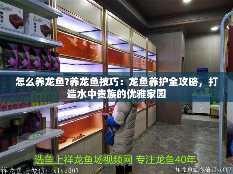 怎么養(yǎng)龍魚?養(yǎng)龍魚技巧：龍魚養(yǎng)護(hù)全攻略，打造水中貴族的優(yōu)雅家園