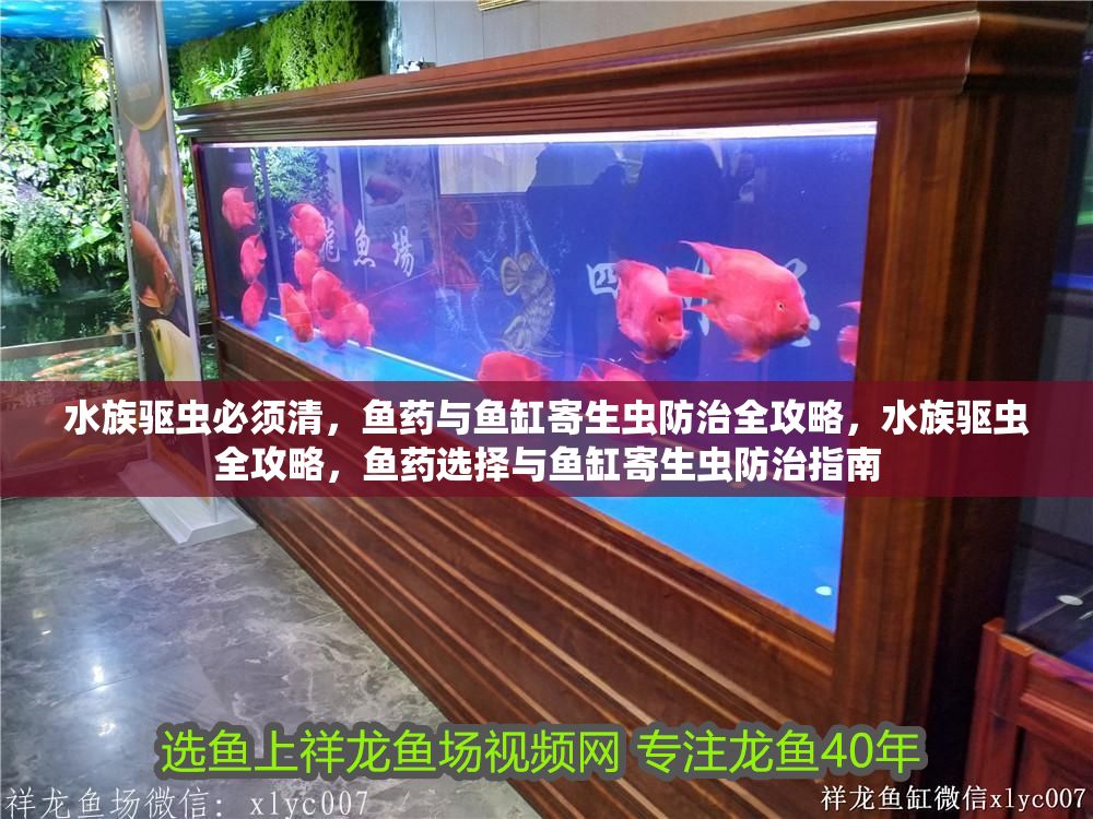 水族驅蟲必須清，魚藥與魚缸寄生蟲防治全攻略，水族驅蟲全攻略，魚藥選擇與魚缸寄生蟲防治指南