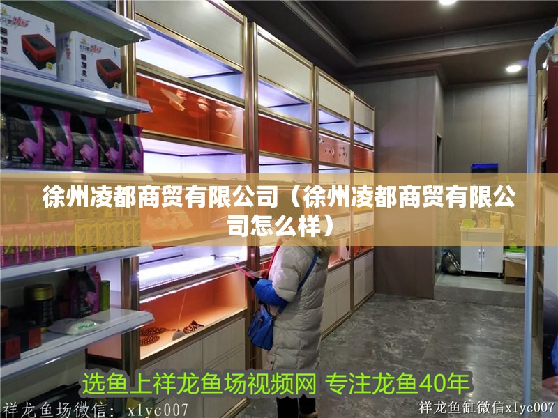 <strong><mark>徐州</mark></strong>凌都商貿有限公司（<strong><mark>徐州</mark></strong>凌都商貿有限公司怎么樣）