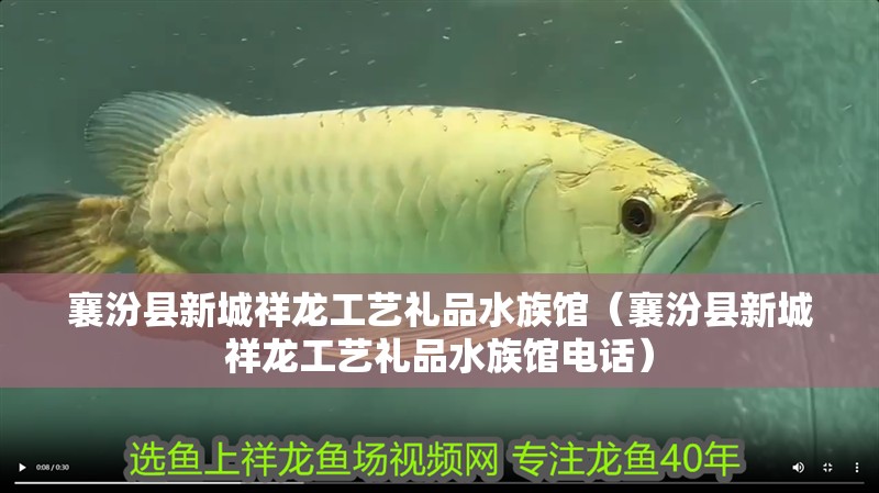 襄汾縣新城祥龍工藝禮品水族館（襄汾縣新城祥龍工藝禮品水族館電話）