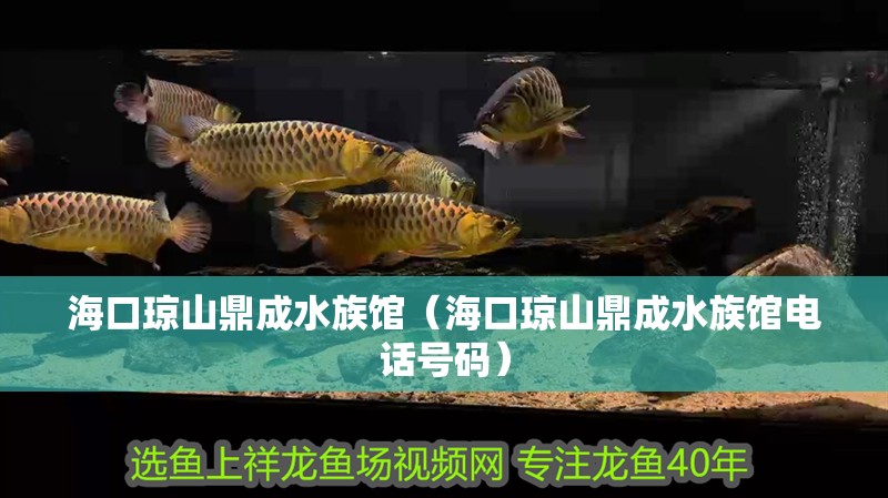 <strong><mark>海口</mark></strong>瓊山鼎成水族館（<strong><mark>海口</mark></strong>瓊山鼎成水族館電話號碼）