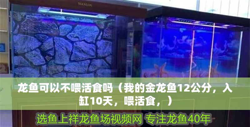 龍魚(yú)可以不喂活食嗎（我的金龍魚(yú)12公分，入缸10天，喂活食，）