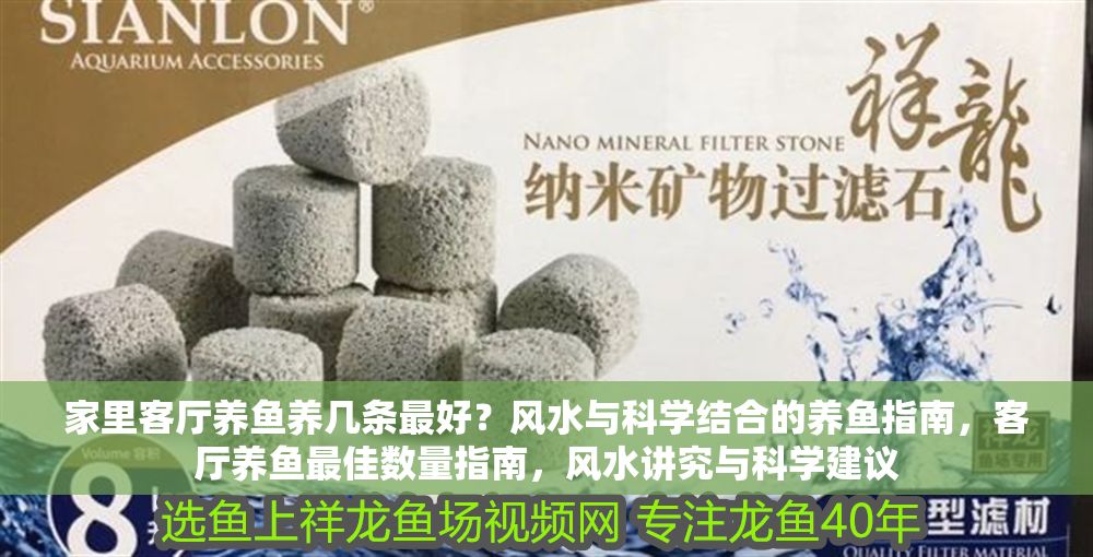 家里客廳養(yǎng)魚養(yǎng)幾條最好？風水與科學結(jié)合的養(yǎng)魚指南，客廳養(yǎng)魚最佳數(shù)量指南，風水講究與科學建議 家里客廳養(yǎng)魚養(yǎng)幾條最好？風水與科學結(jié)合的養(yǎng)魚指南，客廳養(yǎng)魚最佳數(shù)量指南，風水講究與科學建議 龍魚百科 第1張