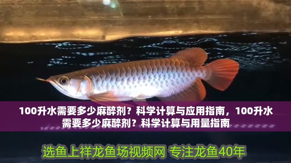 100升水需要多少麻醉劑？科學(xué)計(jì)算與應(yīng)用指南，100升水需要多少麻醉劑？科學(xué)計(jì)算與用量指南
