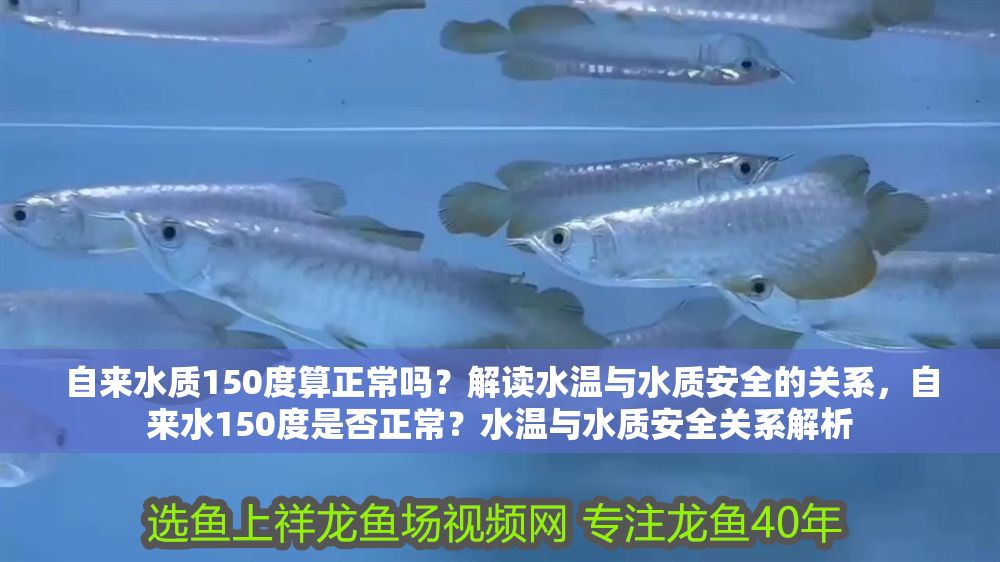 自來水質150度算正常嗎？解讀水溫與水質安全的關系，自來水150度是否正常？水溫與水質安全關系解析