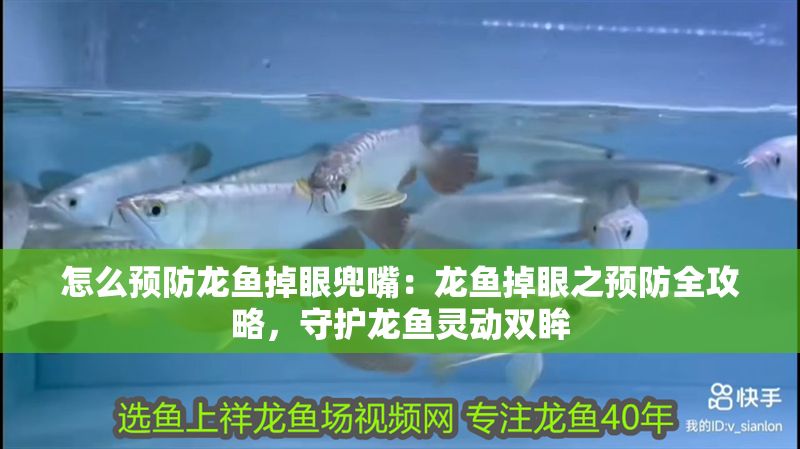 怎么預(yù)防龍魚掉眼兜嘴：龍魚掉眼之預(yù)防全攻略，守護(hù)龍魚靈動(dòng)雙眸