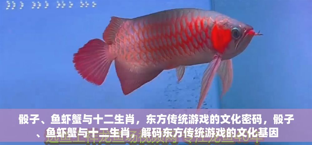 骰子、魚蝦蟹與十二生肖，東方傳統(tǒng)游戲的文化密碼，骰子、魚蝦蟹與十二生肖，解碼東方傳統(tǒng)游戲的文化基因