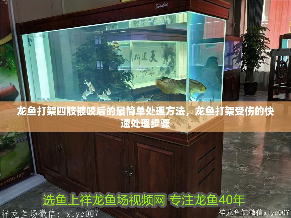 龍魚打架四肢被咬后的最簡單處理方法，龍魚打架受傷的快速處理步驟 龍魚打架四肢被咬后的最簡單處理方法，龍魚打架受傷的快速處理步驟 龍魚常見疾病 第1張