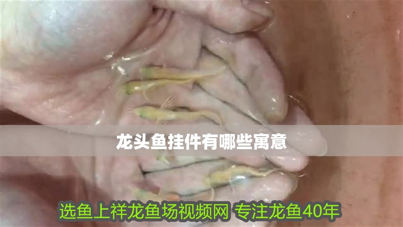 鸚鵡魚和銀龍魚混養怎樣喂食 龍頭魚掛件有哪些寓意 龍魚百科 龍頭魚掛件有哪些寓意 龍頭魚掛件有哪些寓意 龍魚百科