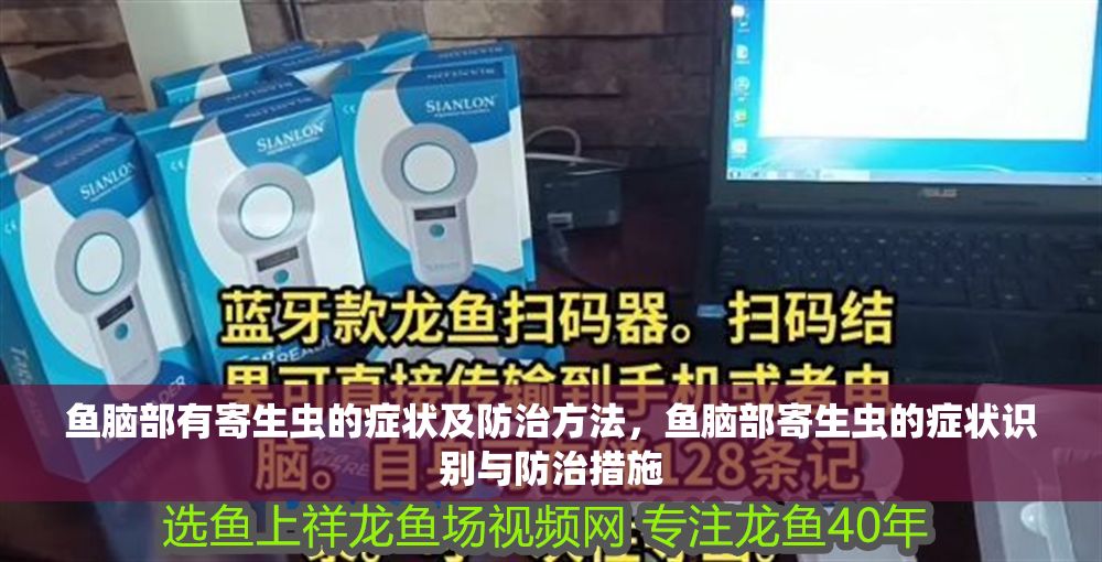 魚腦部有寄生蟲的癥狀及防治方法，魚腦部寄生蟲的癥狀識別與防治措施
