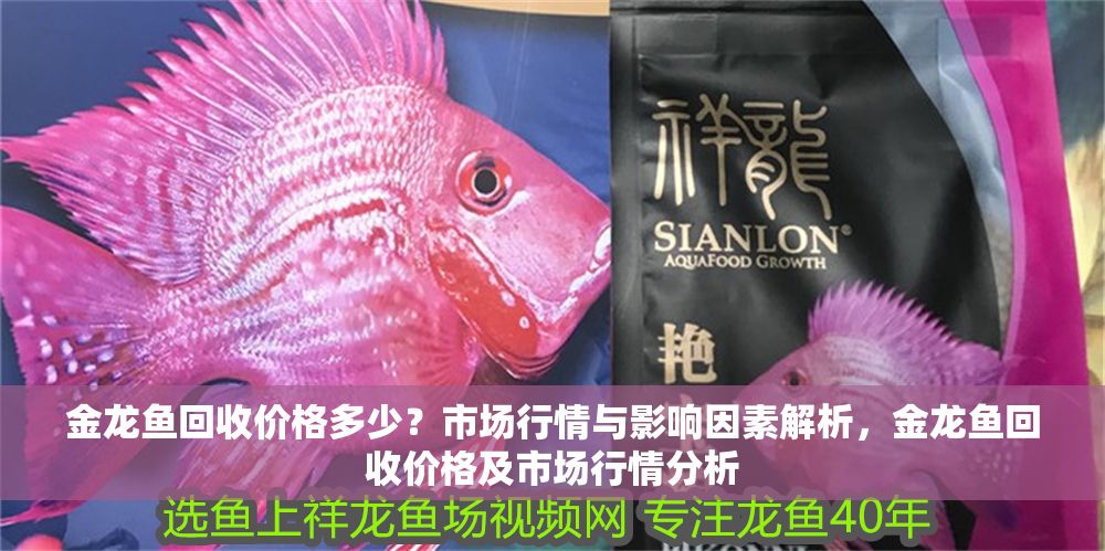 金龍魚回收價格多少？市場行情與影響因素解析，金龍魚回收價格及市場行情分析