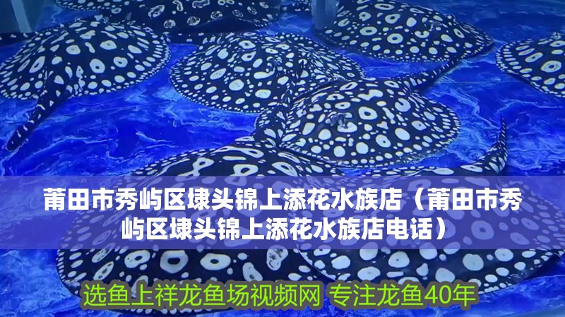 龍魚干蝦有營養嗎 莆田市秀嶼區埭頭錦上添花水族店(莆田市秀嶼區埭頭錦上添花水族店電話) 全國水族館企業名錄 莆田市秀嶼區埭頭錦上添花水族店(莆田市秀嶼區埭頭錦上添花水族店電話) 莆田市秀嶼區埭頭錦上添花水族店(莆田市秀嶼區埭頭錦上添花水族店電話) 全國水族館企業名錄