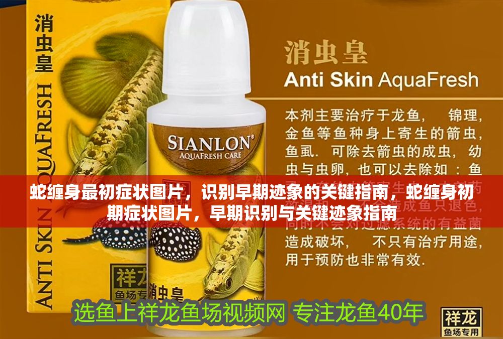 蛇纏身最初癥狀圖片，識別早期跡象的關鍵指南，蛇纏身初期癥狀圖片，早期識別與關鍵跡象指南