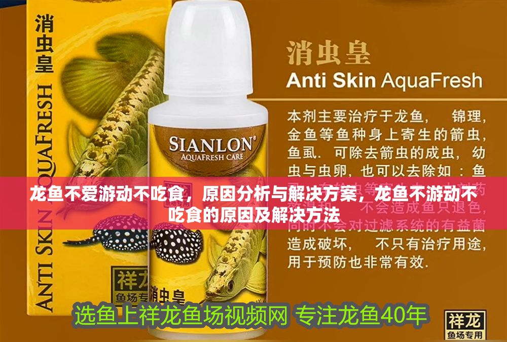 龍魚不愛游動不吃食，原因分析與解決方案，龍魚不游動不吃食的原因及解決方法