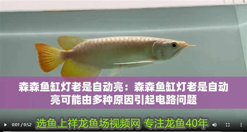 森森魚(yú)缸燈老是自動(dòng)亮：森森魚(yú)缸燈老是自動(dòng)亮可能由多種原因引起電路問(wèn)題