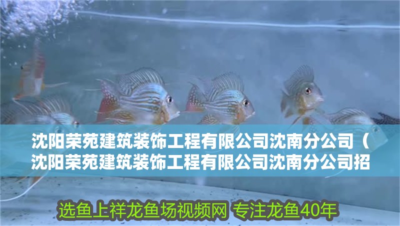 沈陽榮苑建筑裝飾工程有限公司沈南分公司（沈陽榮苑建筑裝飾工程有限公司沈南分公司招聘） 沈陽榮苑建筑裝飾工程有限公司沈南分公司（沈陽榮苑建筑裝飾工程有限公司沈南分公司招聘） 全國水族館企業名錄